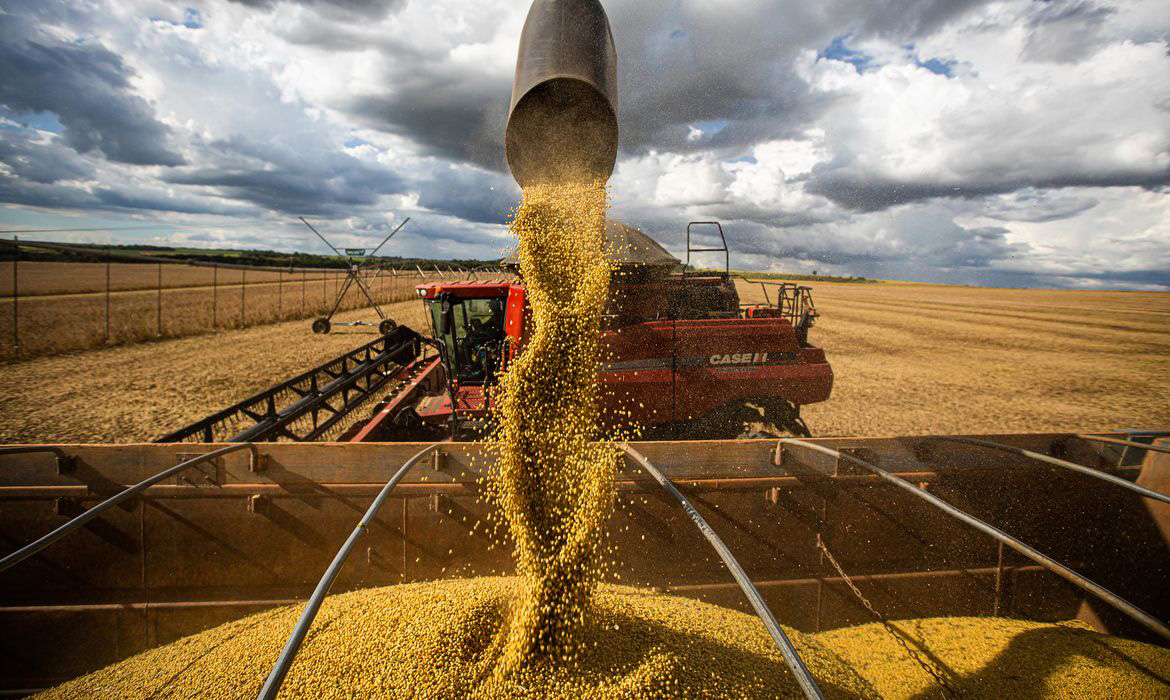 Safra da soja no estado tem quebra na estimativa de grãos